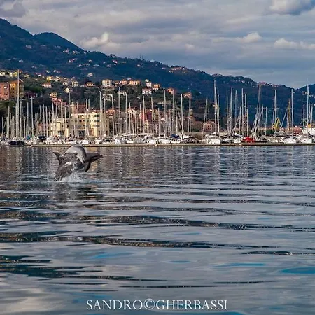 Lejlighed Number40laspezia *